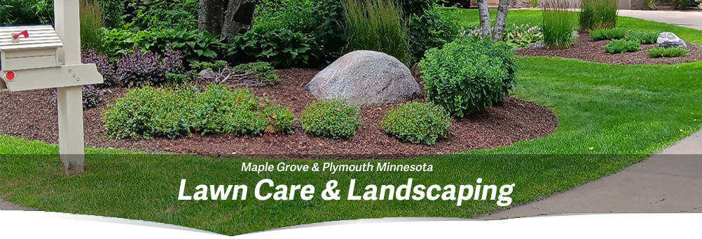 Healthy, neatly maintained residential lawn in Maple Grove, Minnesota.