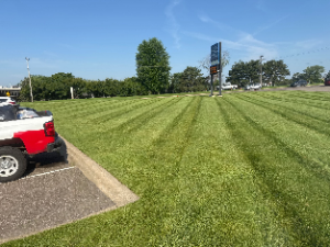 Professional lawn care at a local Maple Grove business.