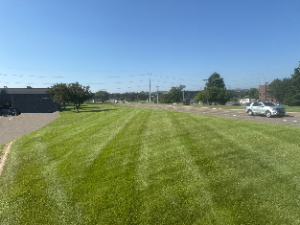 Sidewalk lawn care for commercial property safety.