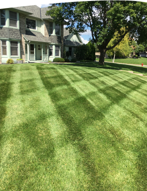 fertilization Plymouth Minnesota