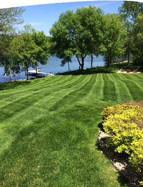 lawn care maple grove
