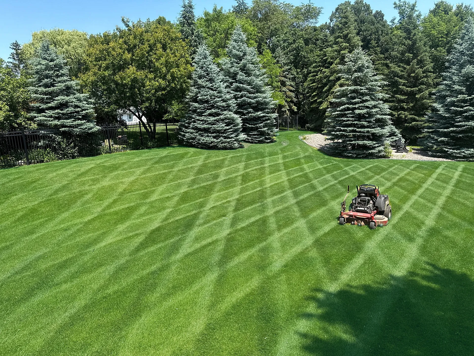 best lawn care maple grove