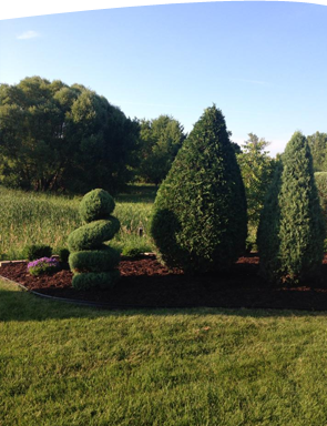 Shrub Trimming Minnetonka Minnesota