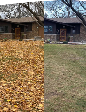 Leaf Cleanup Maple Grove Minnesota