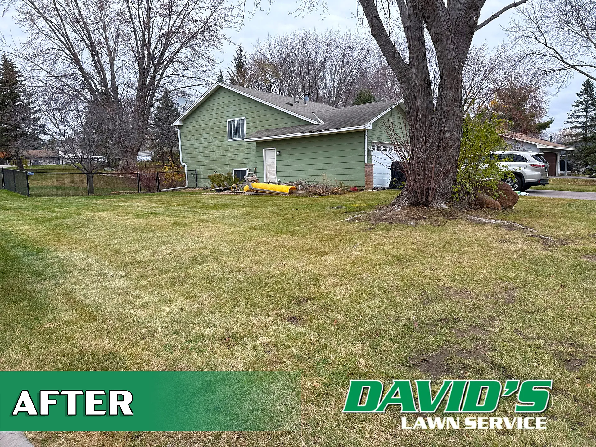 After Spring Cleanup