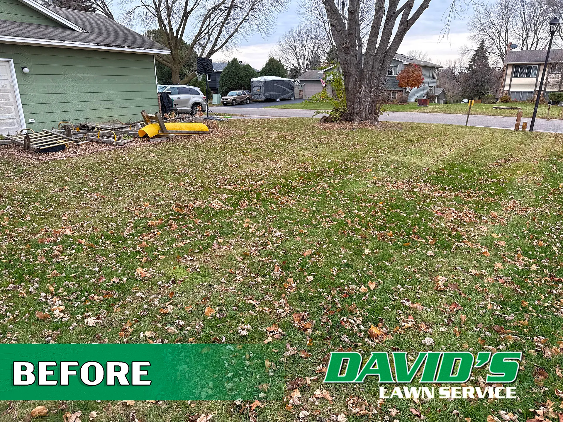 Before Spring Cleanup