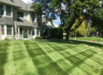 Lawn Care Near Me