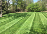 Lawn Care Near Me