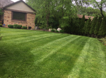 Lawn Care Near Me